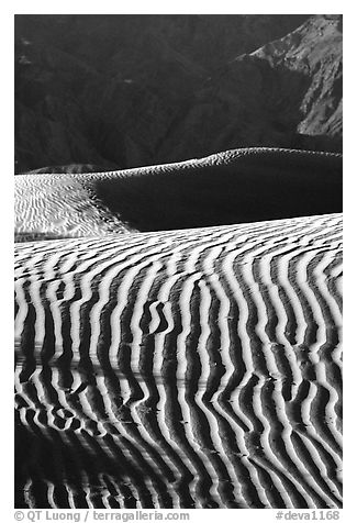 Ripples on Mesquite Sand Dunes, morning. Death Valley National Park (black and white)