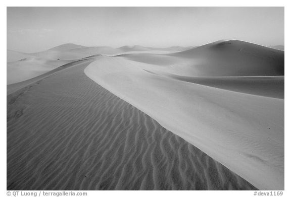 Mesquite Sand Dunes during a sandstorm. Death Valley National Park, California, USA.