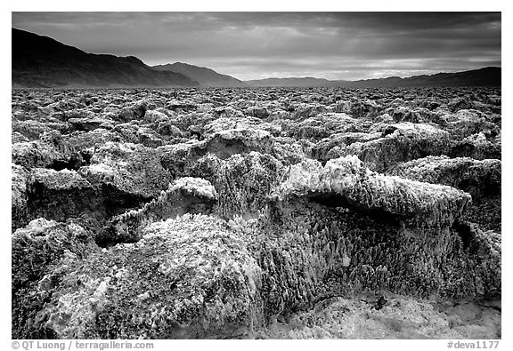 Salt formations, Devil's golf course. Death Valley National Park, California, USA.