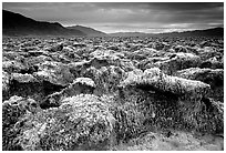 Pictures of Death Valley NP