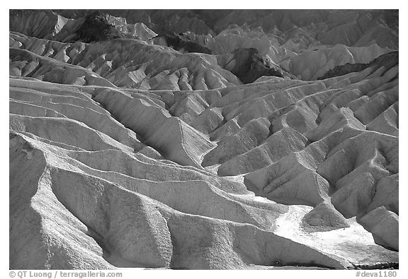 Eroded badlands near Zabriskie Point. Death Valley National Park (black and white)