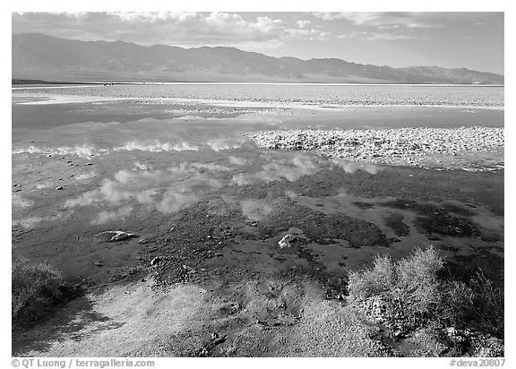 Shallow pond, reflections, and playa, Badwater. Death Valley National Park (black and white)