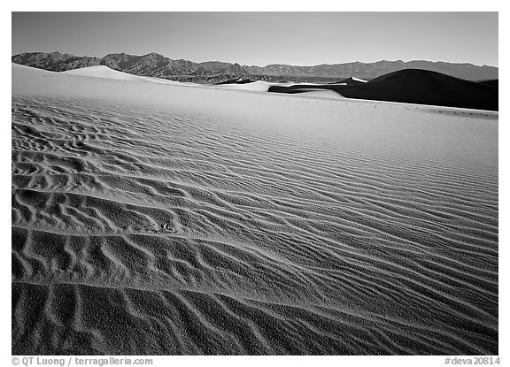 Ripples on Mesquite Dunes, early morning. Death Valley National Park (black and white)