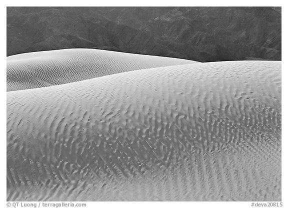 Ripples on Mesquite Sand Dunes,  morning. Death Valley National Park (black and white)