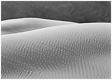 Ripples on Mesquite Sand Dunes, morning. Death Valley National Park ( black and white)