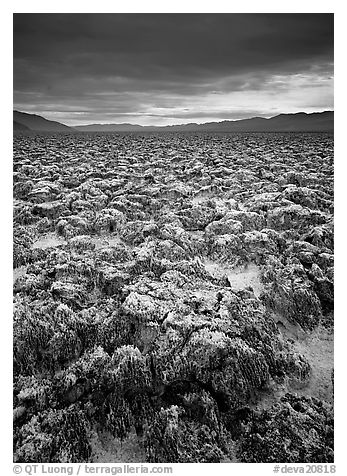 Salt pinnacles at Devils Golf Course. Death Valley National Park, California, USA.