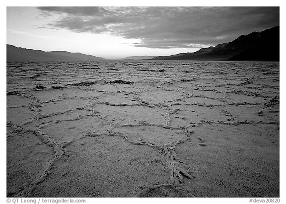 Hexagonal salt tiles near Badwater, sunrise. Death Valley National Park (black and white)