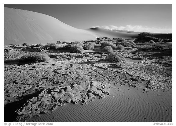 Mud formations in the Mesquite sand dunes, early morning. Death Valley National Park (black and white)