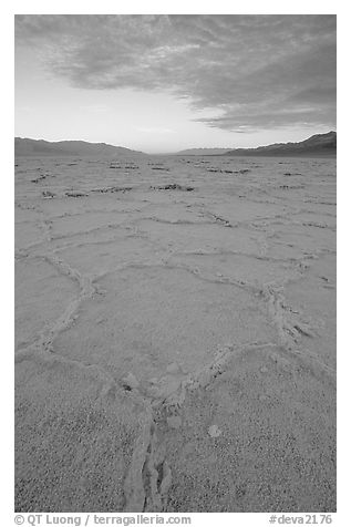 Hexagonal stress tiles on saltpan near Badwater, sunrise. Death Valley National Park, California, USA.