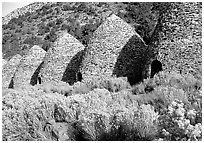 Charcoal Kilns near Wildrose. Death Valley National Park, California, USA. (black and white)