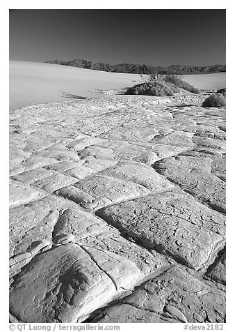 Dried mud formations in Mesquite Sand Dunes, early morning. Death Valley National Park (black and white)