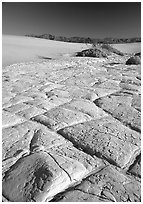 Dried mud formations in Mesquite Sand Dunes, early morning. Death Valley National Park, California, USA. (black and white)