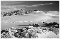 Eureka sand dunes, late afternoon. Death Valley National Park ( black and white)