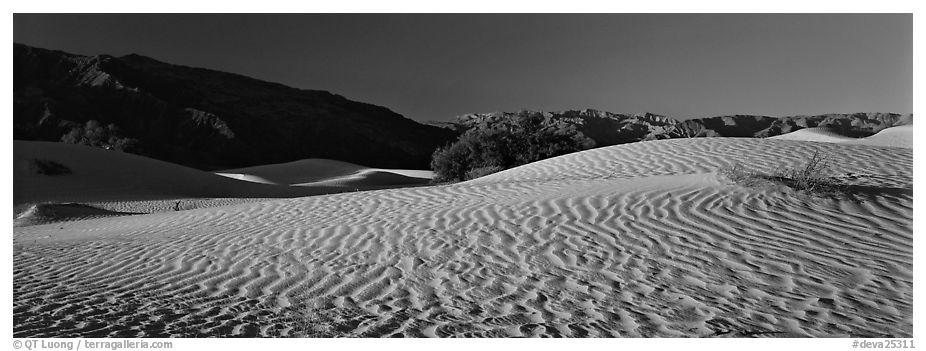 Desert landscape with sand ripples, Mesquite dunes. Death Valley National Park (black and white)