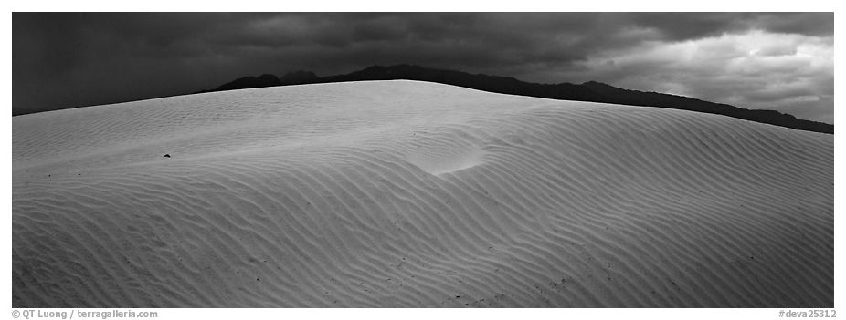 Dune and mountain in stormy weather. Death Valley National Park (black and white)