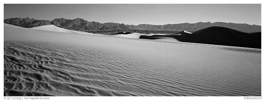 Landscape of sand dunes and mountains. Death Valley National Park (black and white)