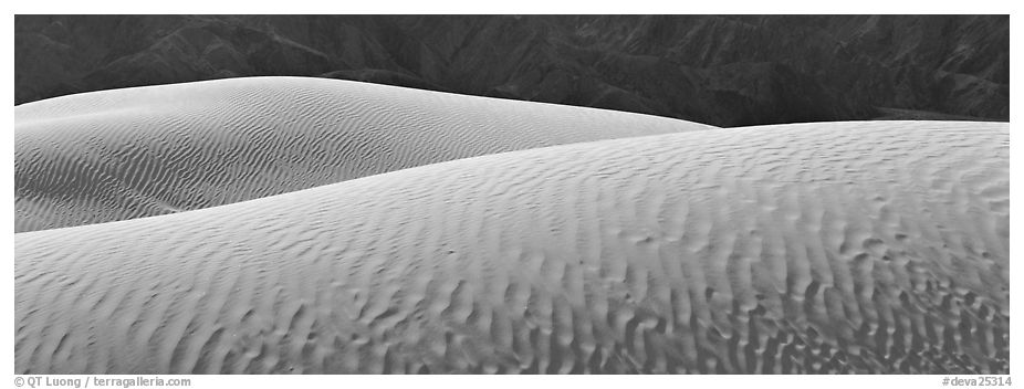 Shimering sand dunes. Death Valley National Park (black and white)