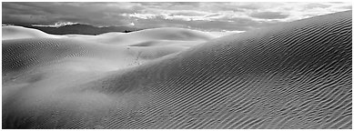 Desert sand dune landscape. Death Valley National Park (Panoramic black and white)