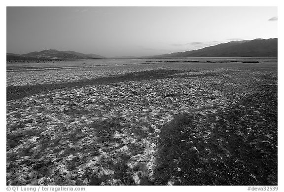 Salt formations on Valley floor, dusk. Death Valley National Park (black and white)