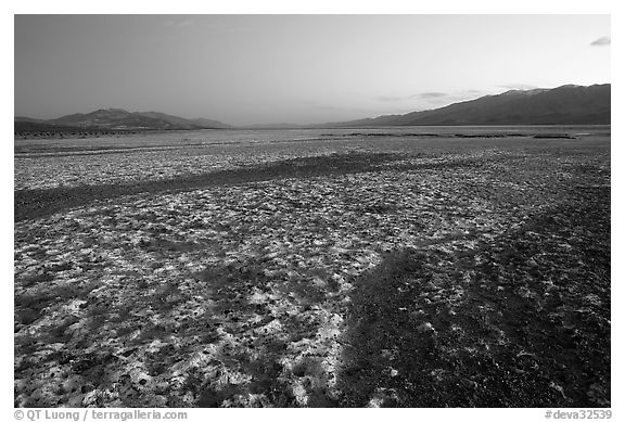 Salt formations on Valley floor, dusk. Death Valley National Park, California, USA.