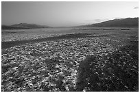 Salt formations on Valley floor, dusk. Death Valley National Park, California, USA. (black and white)