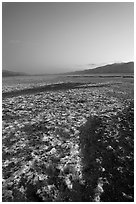 Saltine formations on Valley floor, dusk. Death Valley National Park, California, USA. (black and white)