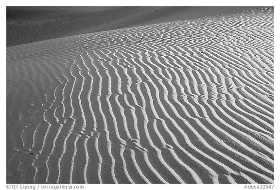 Sand ripples close-up, sunrise. Death Valley National Park (black and white)