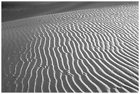 Sand ripples close-up, sunrise. Death Valley National Park ( black and white)