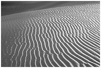 Sand ripples close-up, sunrise. Death Valley National Park ( black and white)