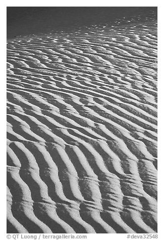 Close-up of Sand ripples, sunrise. Death Valley National Park (black and white)