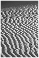 Close-up of Sand ripples, sunrise. Death Valley National Park ( black and white)
