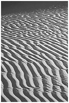 Close-up of Sand ripples, sunrise. Death Valley National Park, California, USA. (black and white)