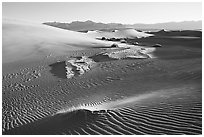 Depression in dunes with sand ripples, Mesquite Sand Dunes, early morning. Death Valley National Park, California, USA. (black and white)