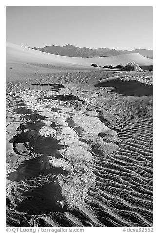 Cracked mud and sand ripples, Mesquite Sand Dunes, early morning. Death Valley National Park, California, USA.