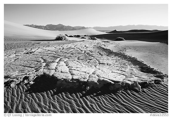 Cracked mud and sand ripples, Mesquite Sand Dunes, early morning. Death Valley National Park (black and white)