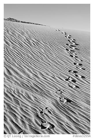 Footprints in the sand. Death Valley National Park, California, USA.