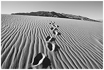 Footprints in the sand leading towards mountain. Death Valley National Park ( black and white)
