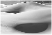 Sensuous forms, Mesquite Sand Dunes, morning. Death Valley National Park ( black and white)