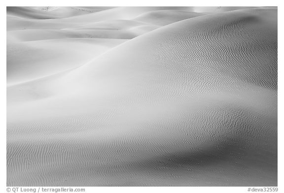 Sensuous forms in the sand, Mesquite Dunes, morning. Death Valley National Park (black and white)