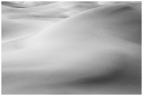 Sensuous forms in the sand, Mesquite Dunes, morning. Death Valley National Park, California, USA. (black and white)