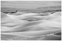 Dune ridges with photographer in the distance, Mesquite Sand Dunes, morning. Death Valley National Park ( black and white)