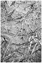 Stratified rock patterns, Mosaic canyon. Death Valley National Park, California, USA. (black and white)