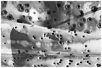 Detail of car with bullet holes near Aguereberry camp, afternoon. Death Valley National Park, California, USA. (black and white)