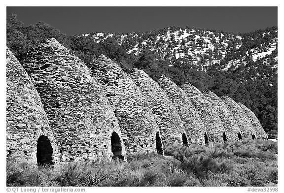 Wildrose charcoal kilns in the Panamint Range. Death Valley National Park (black and white)