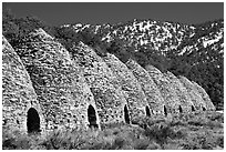 Wildrose charcoal kilns in the Panamint Range. Death Valley National Park ( black and white)