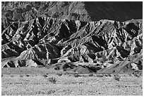 Yellow wildflowers and buttes, late afternoon. Death Valley National Park, California, USA. (black and white)