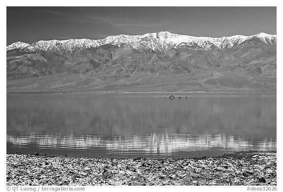 Panamint Range, salt formations, and Manly Lake with Loch Ness Monster. Death Valley National Park, California, USA.