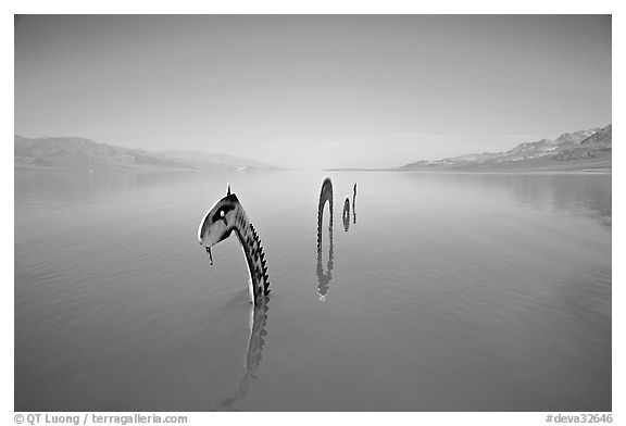 Loch Ness Monster art installation in rarissime seasonal lake. Death Valley National Park, California, USA.