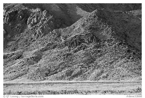 Desert Gold and mountains, late afternoon. Death Valley National Park (black and white)