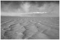 Rarisime waves on Manly Lake on a windy day, early morning. Death Valley National Park ( black and white)